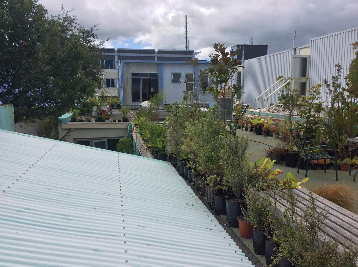 The Cell Block Backpackers Hostel Whangarei Kültér fotó